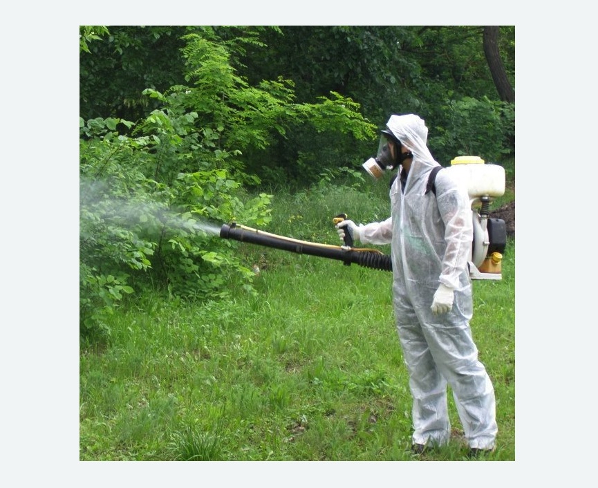 обработка территории от клещей в Невьянске