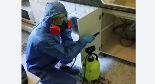 Уничтожение муравьев в квартире. Невьянск