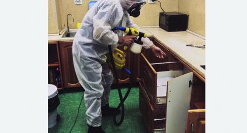 Уничтожение насекомых в квартире. Невьянск