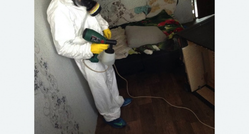 Обработка квартир от насекомых в Невьянске