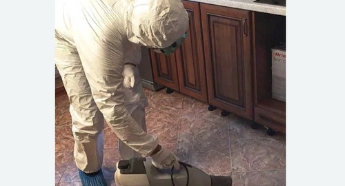 Уничтожение тараканов в квартире. Невьянск