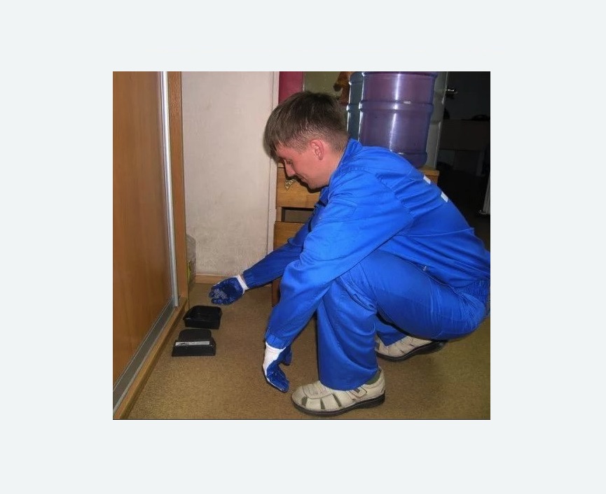 Дератизация крыс Дератизация крыс в Невьянске