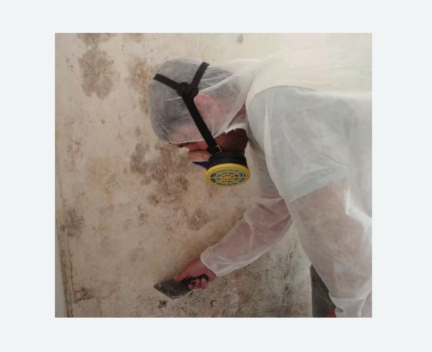 Обработка стен от плесени в Невьянске