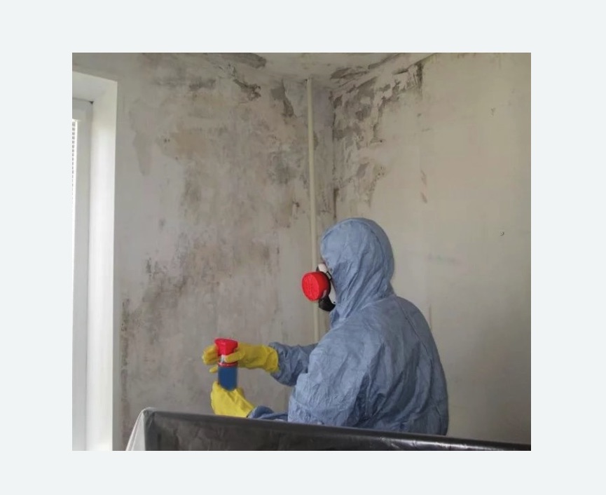 Удаление плесени в квартире в Невьянске