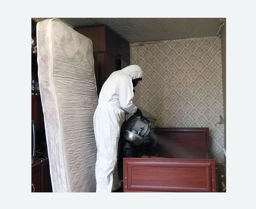 дезинфекция от клопов в Невьянске