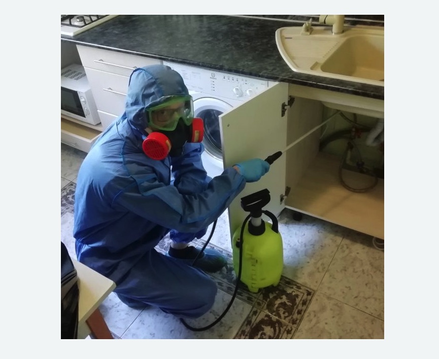 обработка от муравьев в квартире в Невьянске