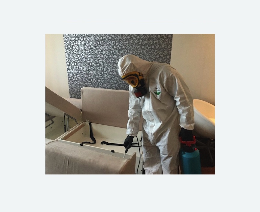 уничтожение клопов в квартире в Невьянске