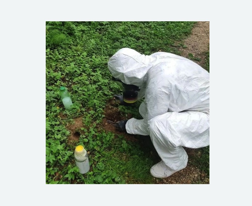 уничтожение кротов на участке в Невьянске