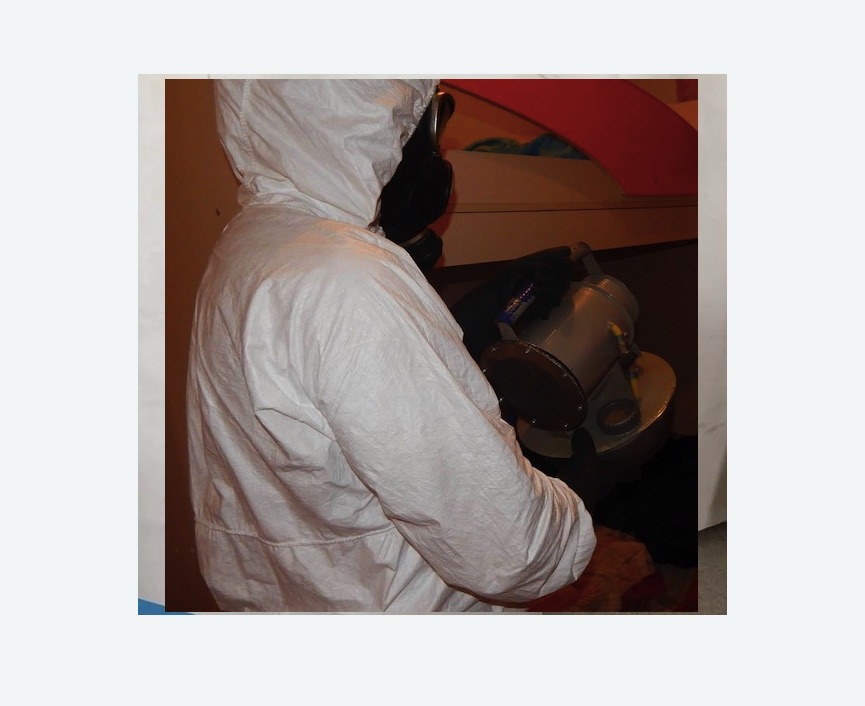 Дезинфекция от муравьев в Невьянске