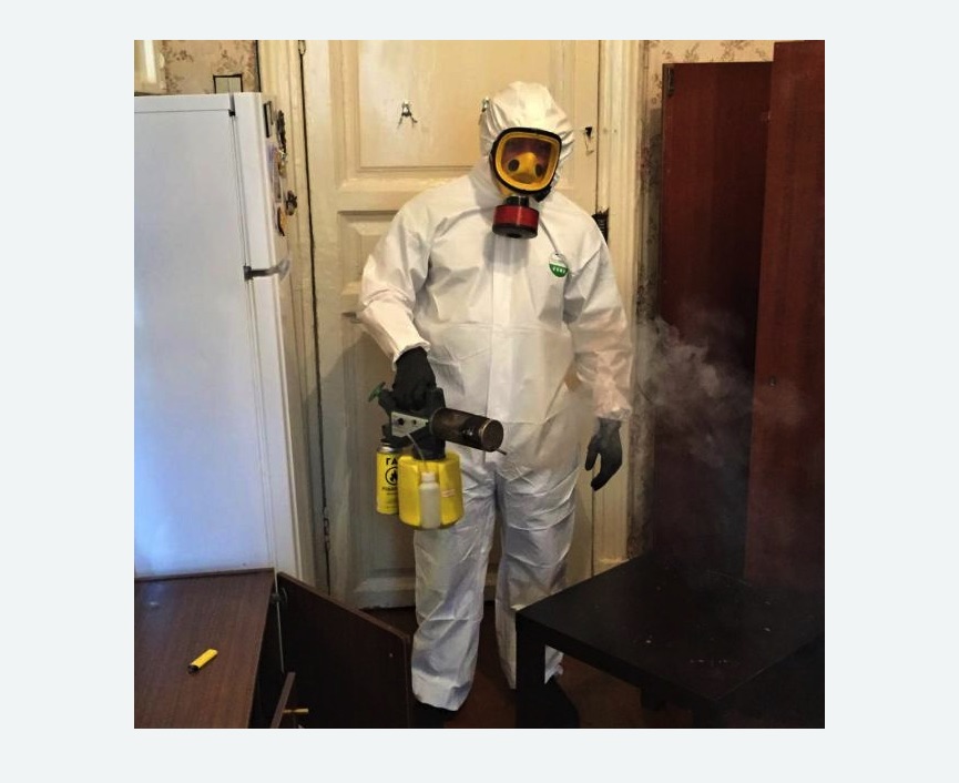 уничтожение муравьев в квартире в Невьянске